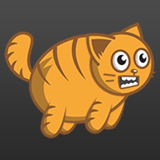 Fatso Catso iOS App