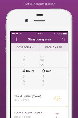 Strasbourg Parking screenshot 4