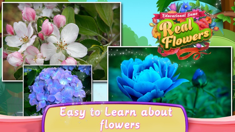 Educational Game Real Flowers screenshot-3