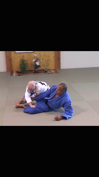 Brazilian Jiu Jitsu Seminars: Year One screenshot-3