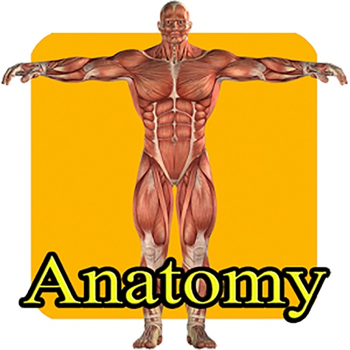 Anatomy Tutorial Training Video icon
