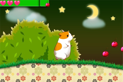 Hamster's Dream Land screenshot 3