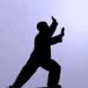 The Qigong Workout for longevity - Awake your senses, detoxify your body, and achieve a feeling of calm and vitality