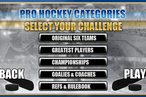 Playoff Challenge for the NHL screenshot 2