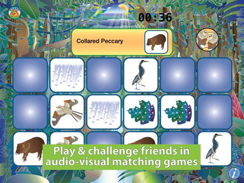 Nature Maestro Rainforest Night screenshot 4