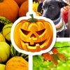 Halloween Picture Stickers: The Scary Photo Maker