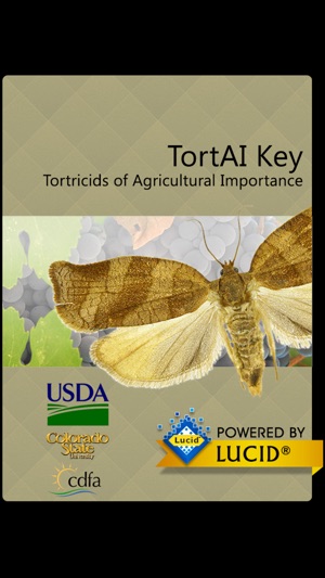 TortAI Key