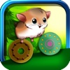 Hamster Cannonball: Crazy Slingshot Toss - Pets Adventure Story