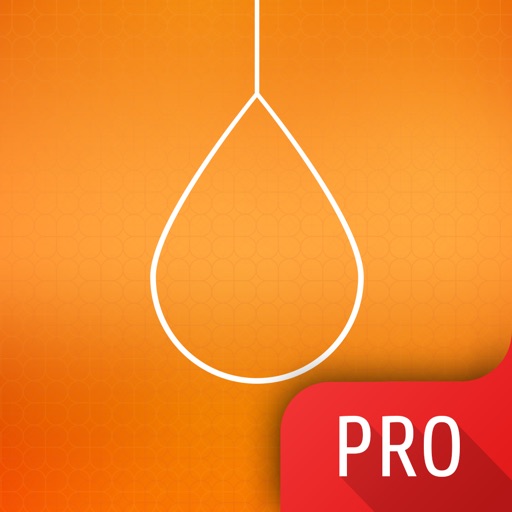 Hangman 2 PRO - word game. Addictive quiz with words guessing icon