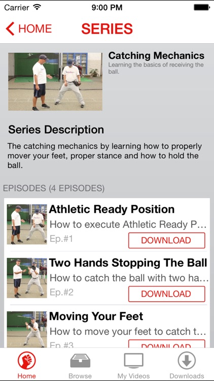 Baseball Lessons