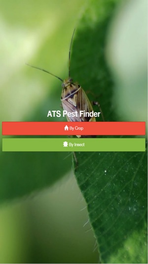 ATS Pest Finder