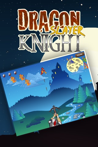 Dragon Slayer Knight Adventure: Protect the Fortress Pro screenshot 2