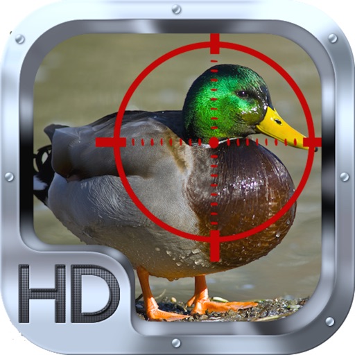 Duck Hunter Crossing icon