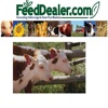 Cattle Adjusted Yearling Weight Calculator