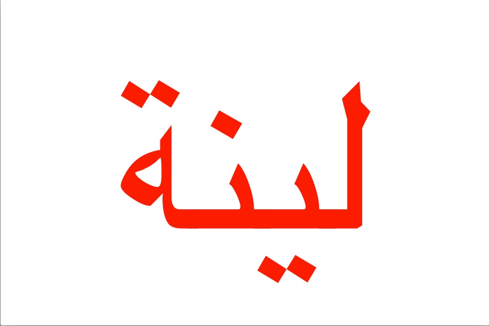 صغيري يقرأ : Teach Your Baby How to Read Arabic screenshot 3