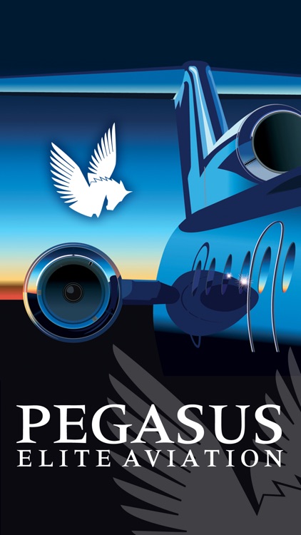Pegasus Elite Aviation One Way Jets