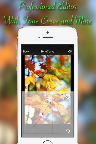 HaloPhoto Pro - Awesome Photo Editor & Insta Beauty Filters with Captions and Stickers screenshot 2