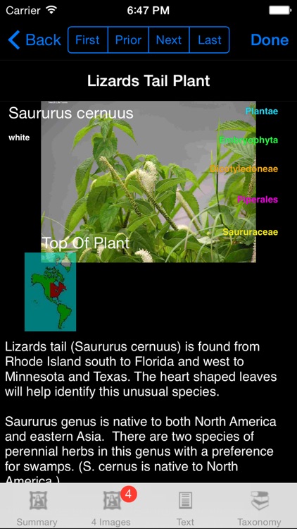Wildflowers of North America - eFlowersNA - A Wildflower App screenshot-4