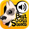 The Best Dogs Sounds