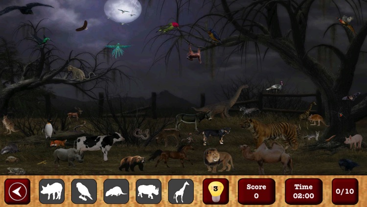 Find The Different Shape : Hidden Object screenshot-4