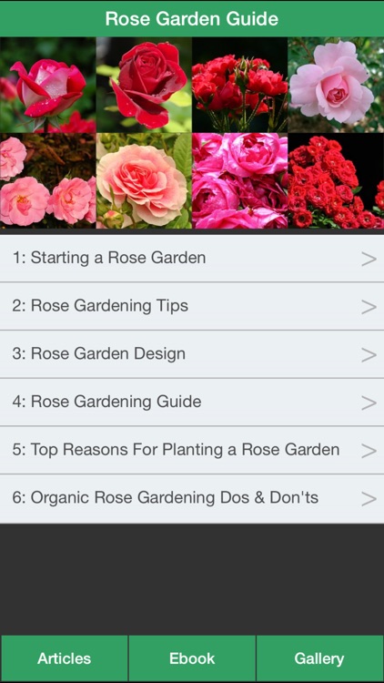 Rose Garden Guide - A Guide To Planting Your Own Rose Garden Successfully!