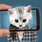 Face scanner prank: What cat?
