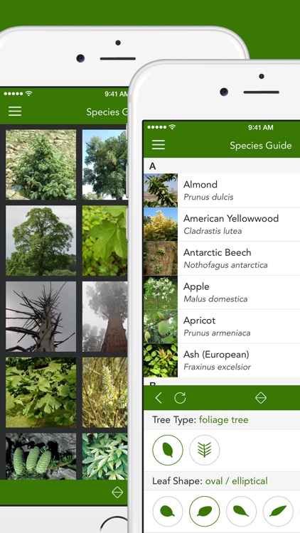 Trees 2 PRO - The Field Guide by NATURE MOBILE