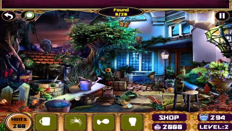 Hidden Objects:Curse of the Northern Lights