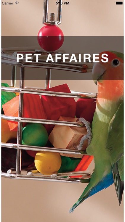 PET AFFAIRES