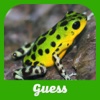 Guess The Animals Quiz