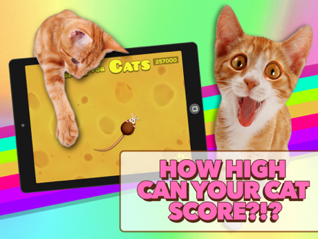 Cheats for Game for Cats