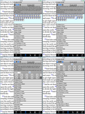 Bible Douay-Rheims Version(Catholic)HD screenshot 4