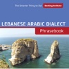 Lebanese Arabic Dialect Phrasebook - Beckley Institute