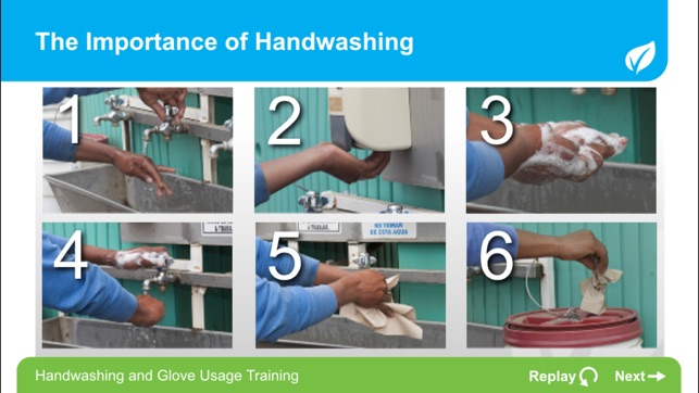 California LGMA Handwashing and Glove Usage Training(圖1)-速報App