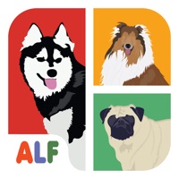 Icontrivia  Guess the Dogs