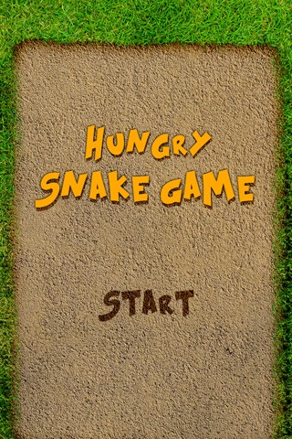 Hungry Snake Game screenshot 2