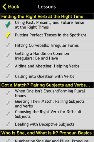 English Grammar Workbook For Dummies screenshot 2