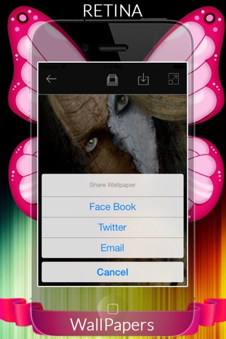 Wall & Screens 4 iPhone 4S, 5, 5S, 6, 6Plus & iPad screenshot 4