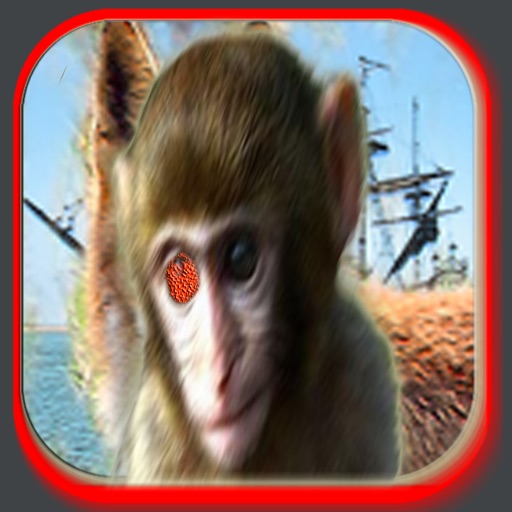 Pirate Monkey icon