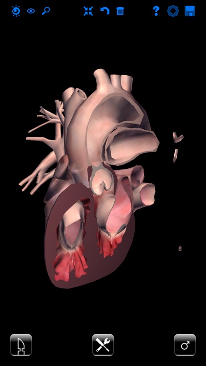 Zygote 3D Anatomy Atlas & Dissection Lab