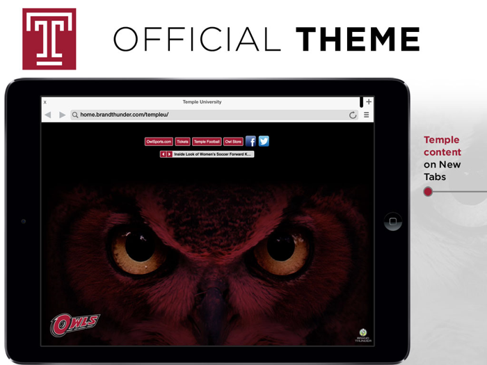Temple Owls Web