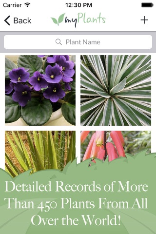myPlants | Manage tool and reminder for watering and treating your garden screenshot 4