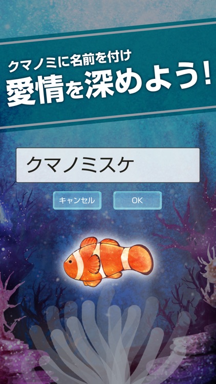 Clownfish Aquarium