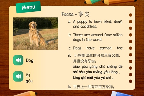 English Chinese Flash Cards for Kids screenshot 4