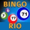 Bingo Rio de Janeiro - Bankroll Your Way to Huge Payouts with Multiple Bingo Cards!