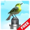 Bird Picture & Sound