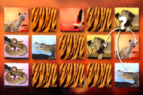 Wildlife Safari Photo Memo Puzzle Free screenshot 4