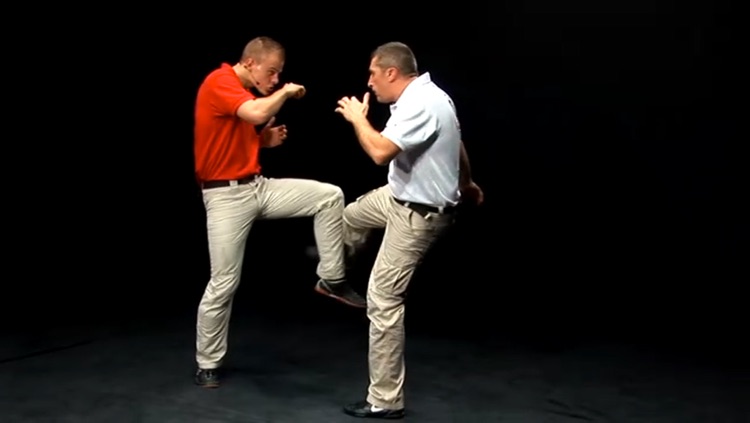 Krav Maga Lesson vol.4 - Defense on Kicks