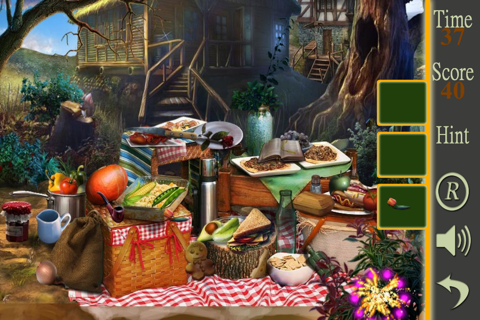 Hidden Objects A Picnic Weekend screenshot 4