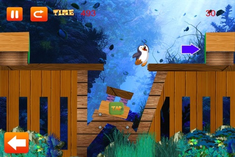 Penguin Plunge - Happy Water Maze Quest Paid screenshot 4